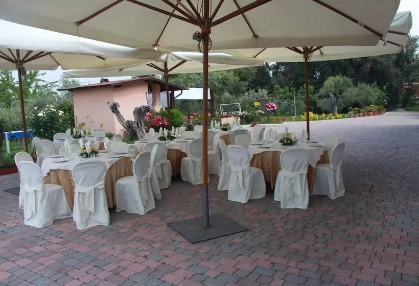 Hotelli B&b La Terrazza Di Frascati