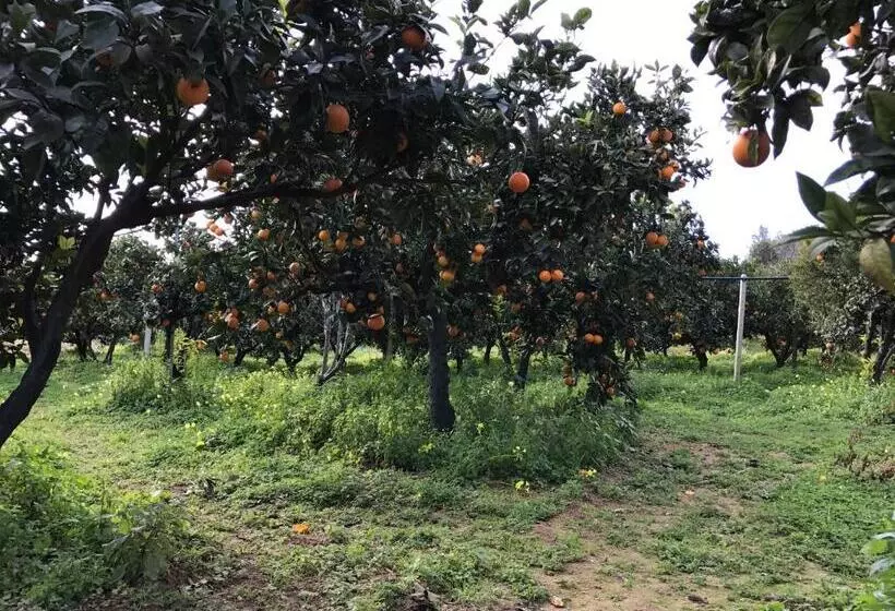 هتل Parco Dei Templi