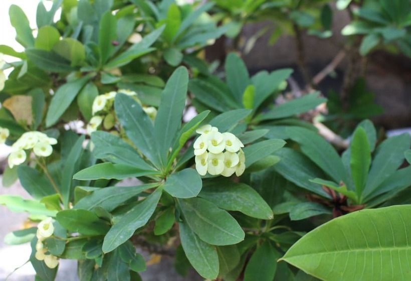 فندق Exotic Komodo