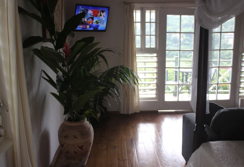 هتل Rio Vista Resort