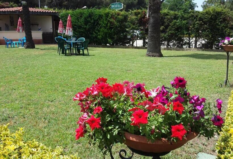 ホテル Thairè Resort