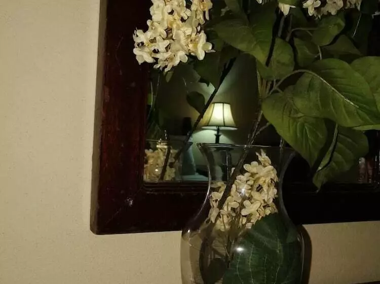 ホテル Hostal Casa San Jose