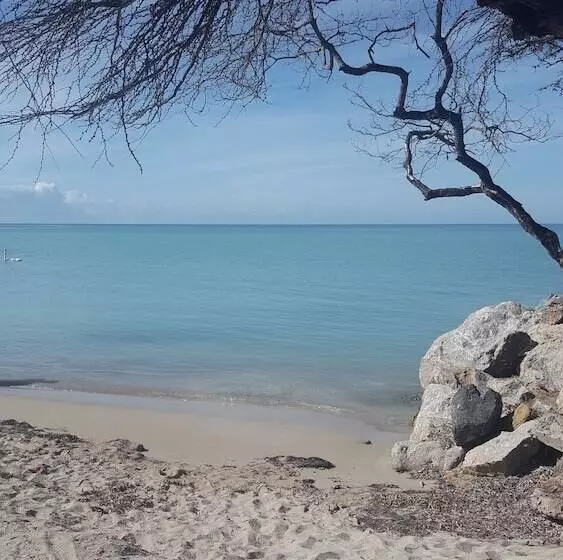 هتل Luichy S Seaside