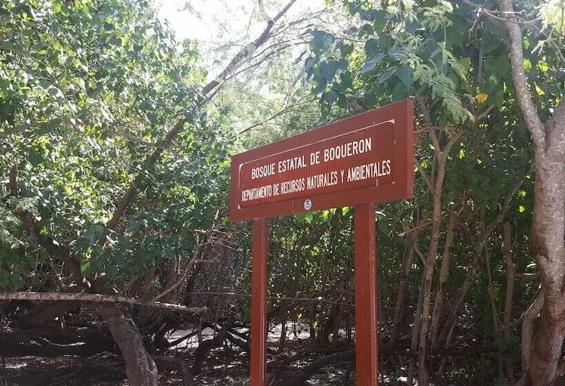 هتل Luichy S Seaside