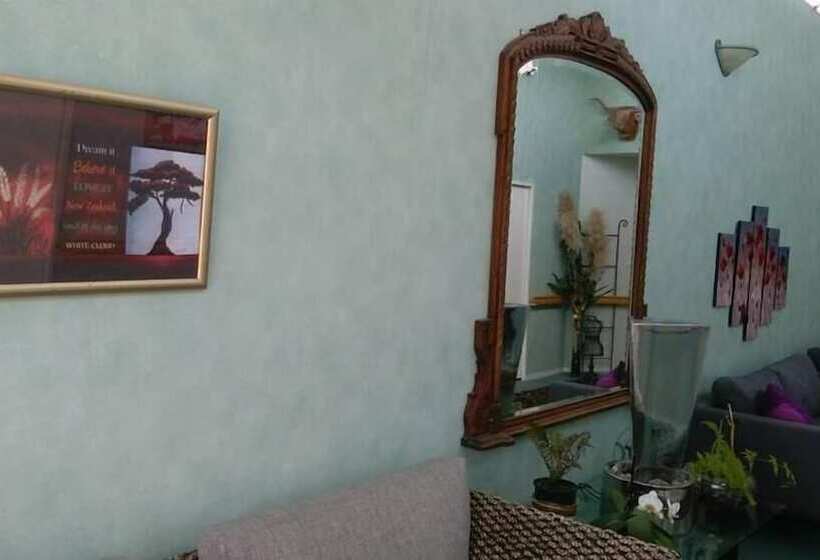 Отель Piwaka Lodge And Backpackers