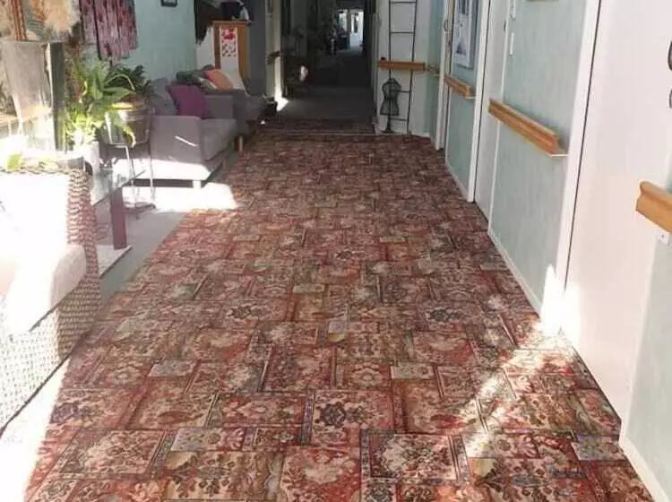 Hotelli Piwaka Lodge And Backpackers