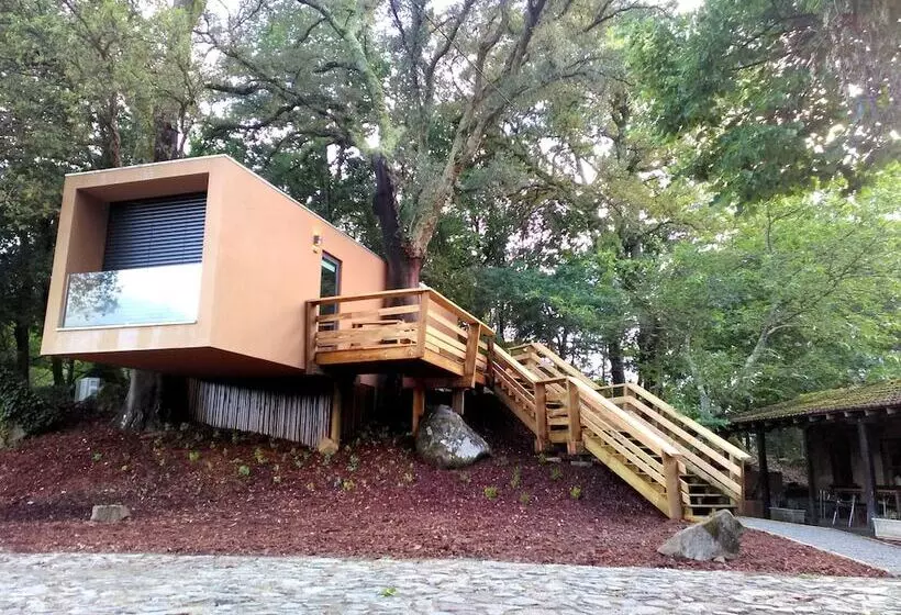 ホテル Quinta Do Pomar Maior