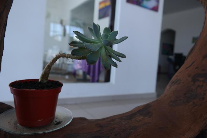 ホテル S8 Boutique