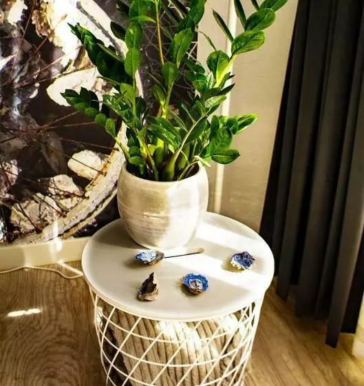 Aparthotel Waepen Van Middelburg