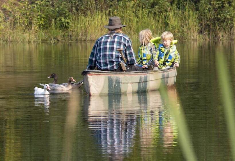 فندق Wolfwood Guest Ranch