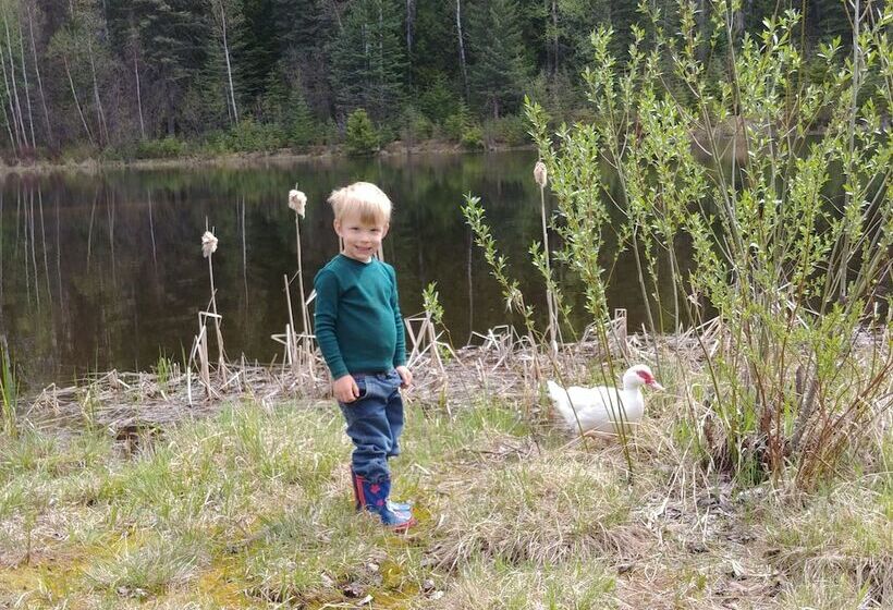 فندق Wolfwood Guest Ranch