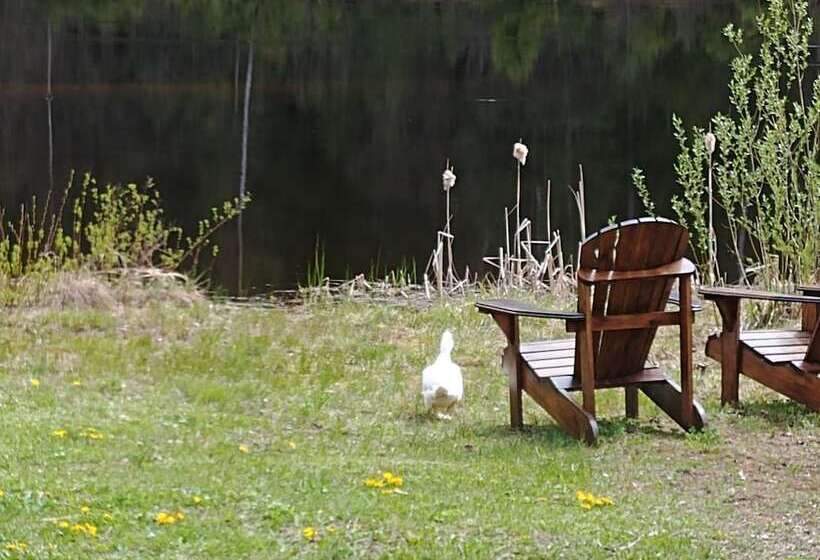 فندق Wolfwood Guest Ranch