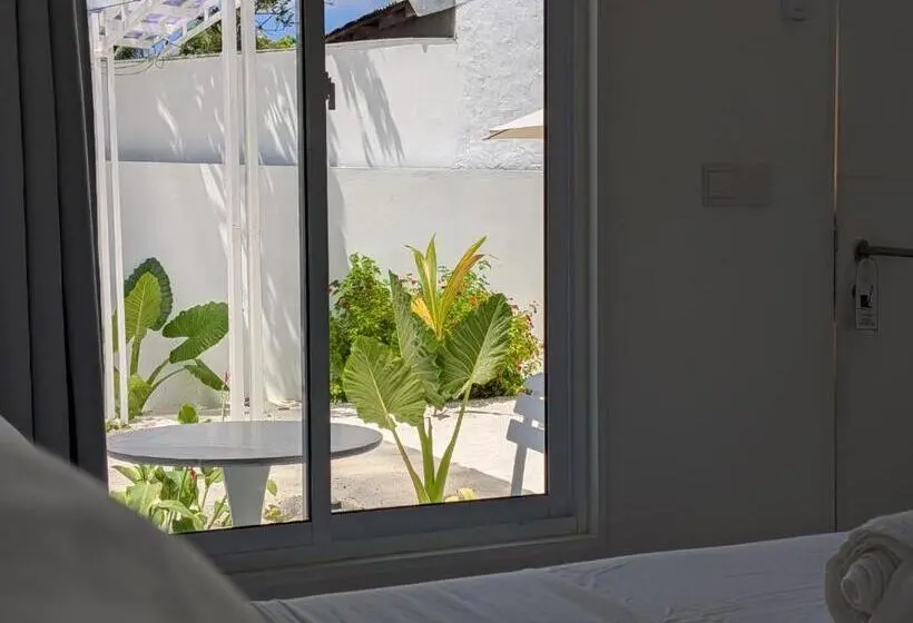 هتل Avi Guesthouse