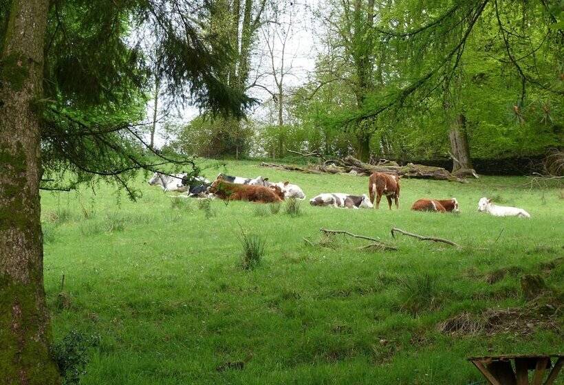 בית מלון כפרי Blenheim Lodge