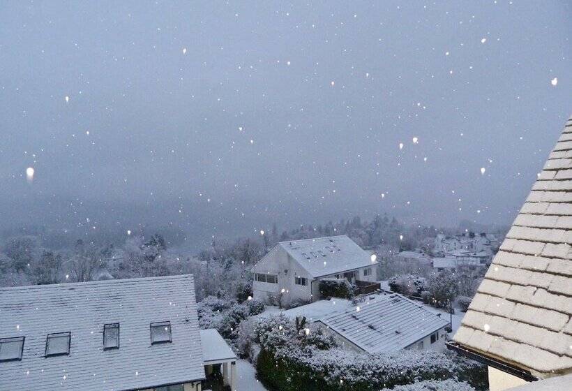 בית מלון כפרי Blenheim Lodge