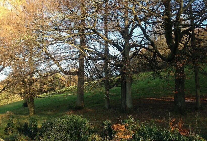 בית מלון כפרי Blenheim Lodge