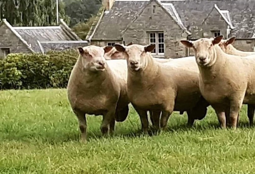 Отель Hundalee House B&b