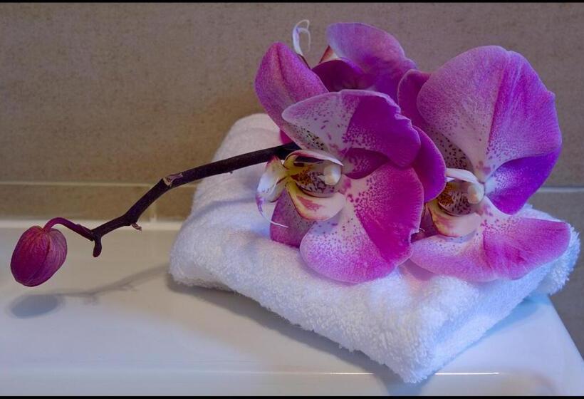 Отель Lakeview Guest House