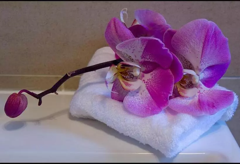 Hotelli Lakeview Guest House