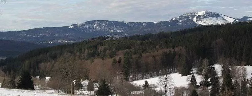 Hotelli Penzion Diana