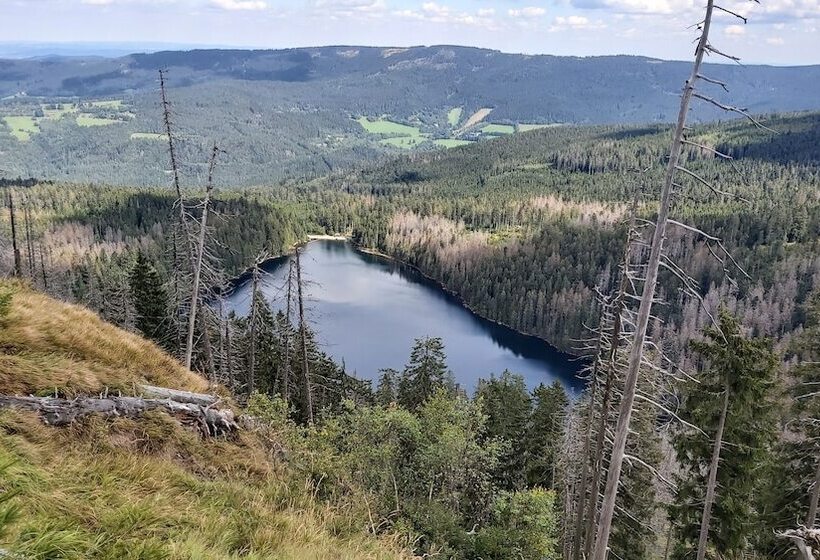 호텔 Penzion Diana