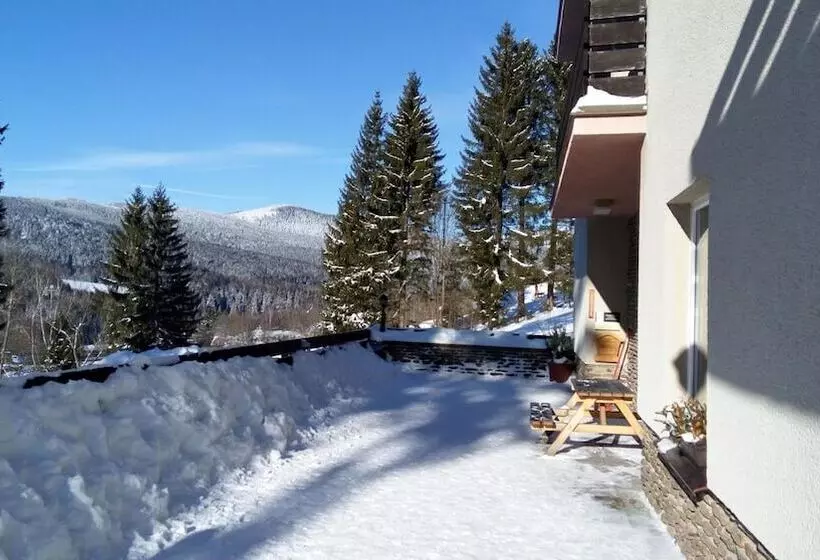 Hotelli Penzion Diana