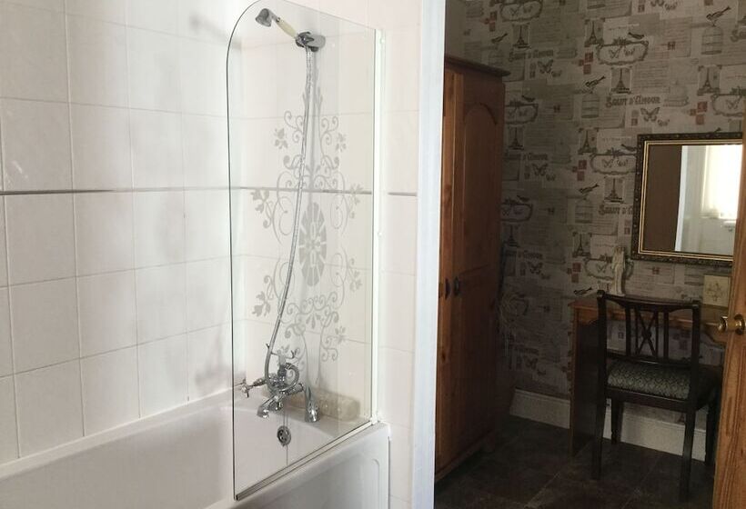 酒店 Plas Llwyd Guest House