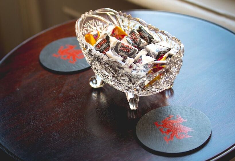 酒店 Plas Llwyd Guest House