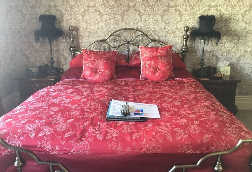 酒店 Plas Llwyd Guest House