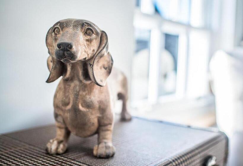 Отель The Royal Standard