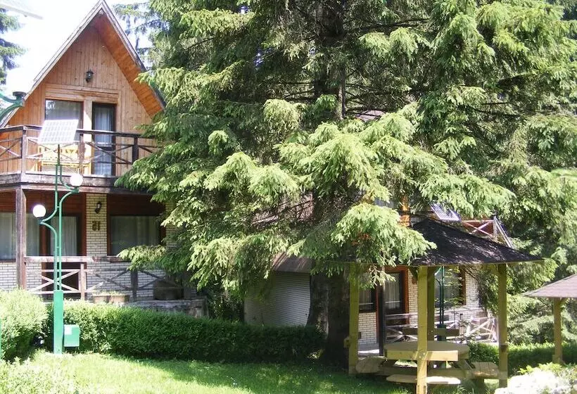 Hotelli Traveland Butique Resort Poiana Brasov