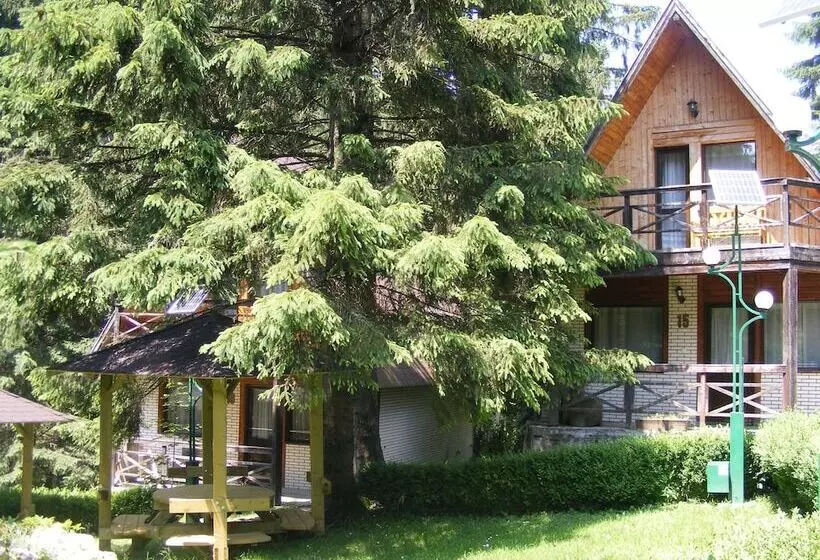 Hotelli Traveland Butique Resort Poiana Brasov