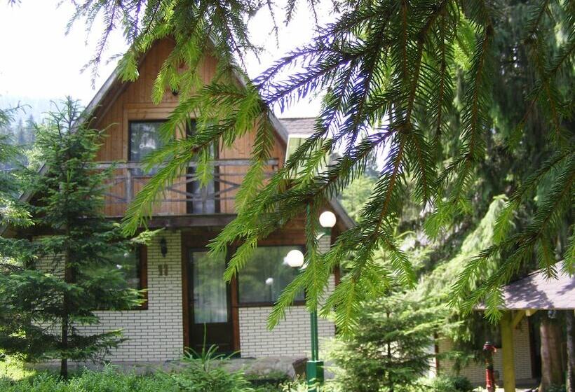 هتل Traveland Butique Resort Poiana Brasov