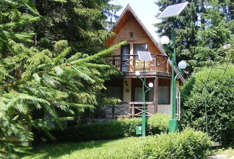 Hotelli Traveland Butique Resort Poiana Brasov