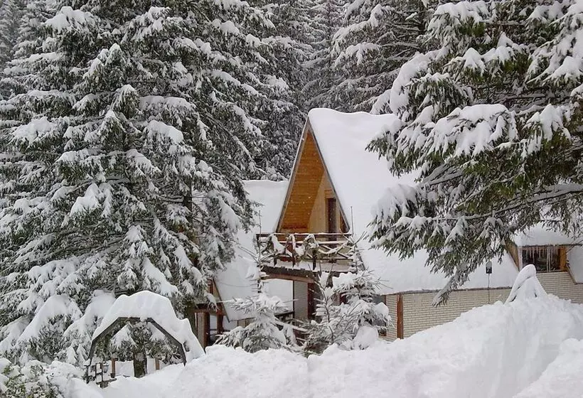 Hotelli Traveland Butique Resort Poiana Brasov