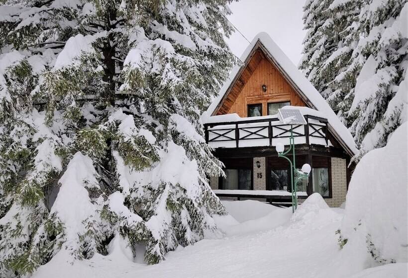 هتل Traveland Butique Resort Poiana Brasov