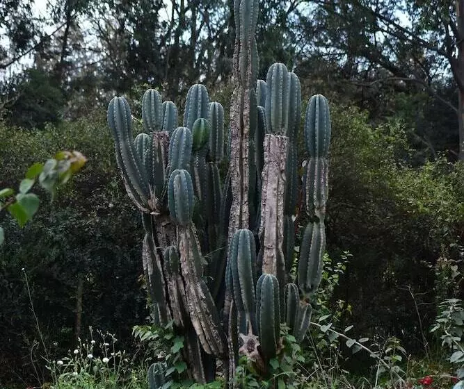 هتل Afrique Paradise