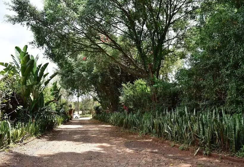 هتل Afrique Paradise