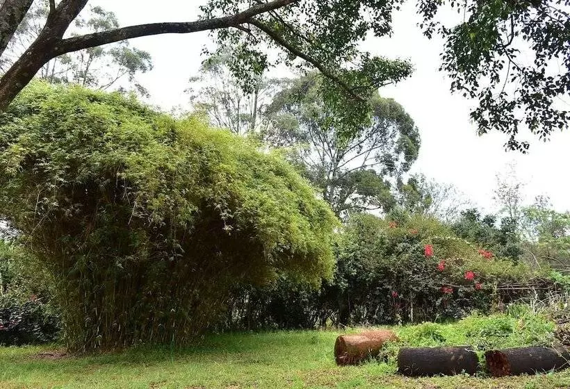 هتل Afrique Paradise