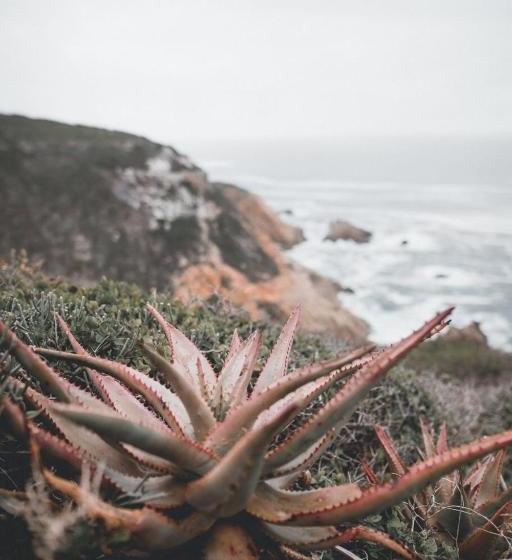 בית מלון כפרי Valhalla Self Catering