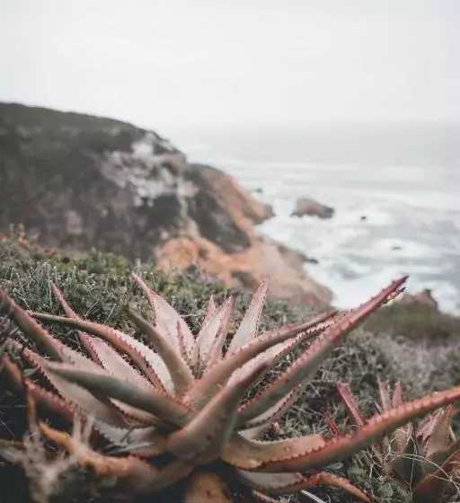 Hotelli Valhalla Self Catering