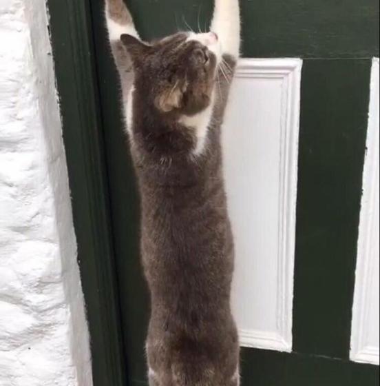 בית מלון כפרי Valhalla Self Catering