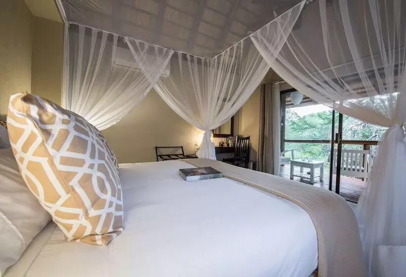 ホテル Bushbaby River Lodge