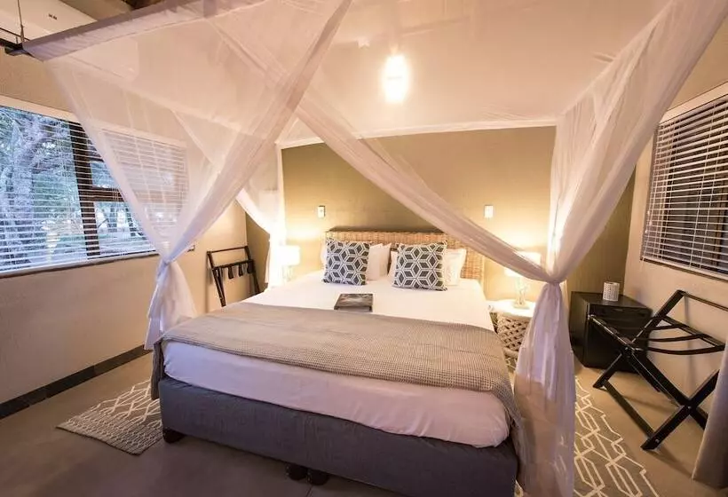 ホテル Bushbaby River Lodge