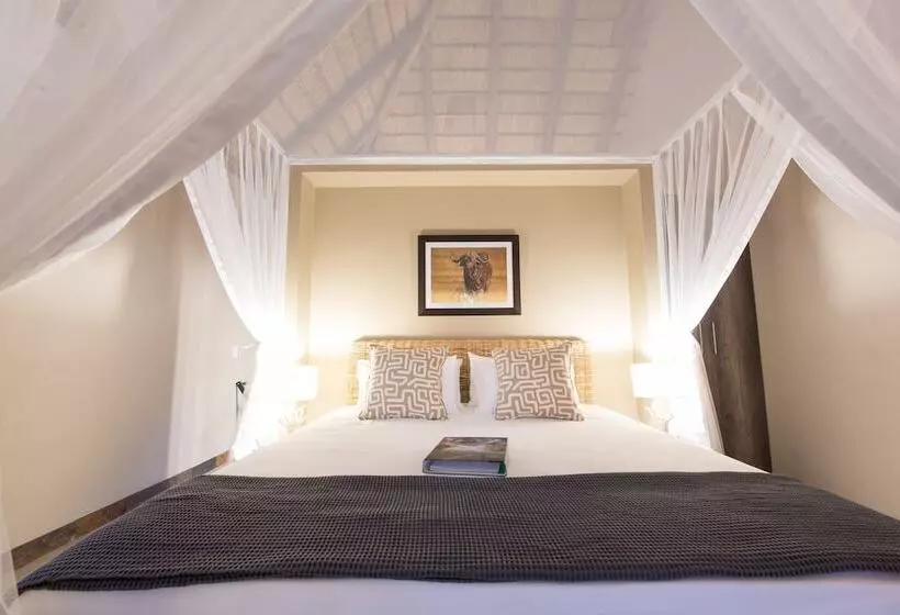 ホテル Bushbaby River Lodge