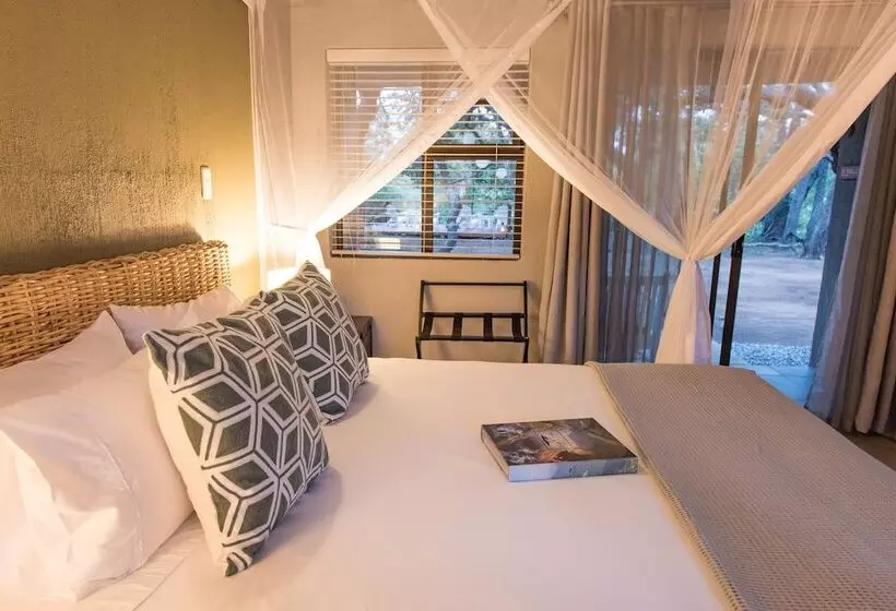 ホテル Bushbaby River Lodge