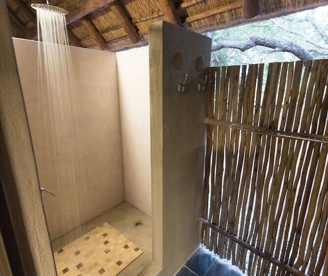 酒店 Bushbaby River Lodge