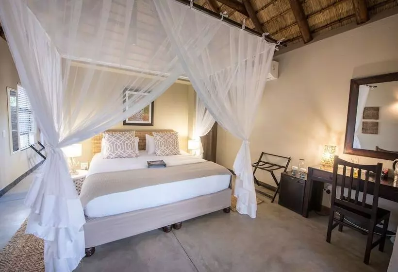 ホテル Bushbaby River Lodge