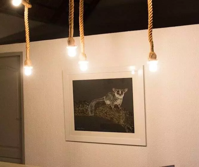 ホテル Bushbaby River Lodge