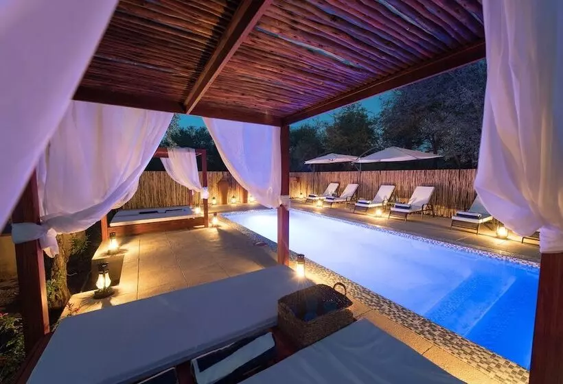 ホテル Bushbaby River Lodge